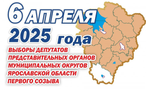 Муниципальные выборы стартовали в Ярославской области
