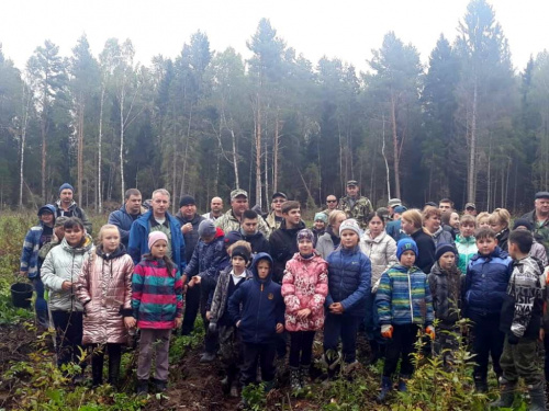 В Ярославской области стартовала акция «Сохраним лес»