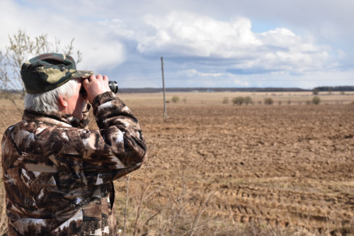 ​Более 170 нарушений правил охоты пресечено с начала года в Ярославской области