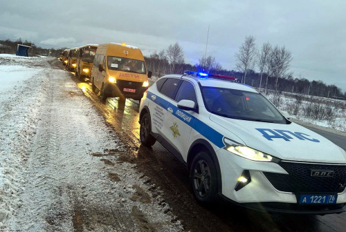 Сопровождение на новогодние ёлки