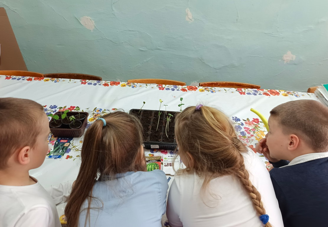 IMG 20260415 133425 868