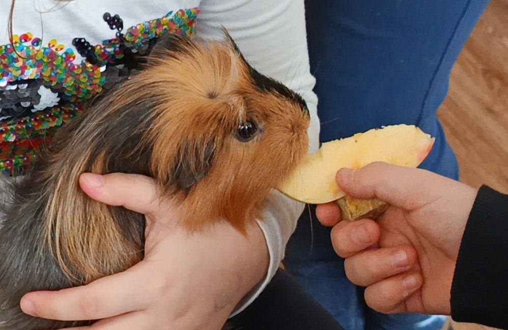 IMG 20260311 135414 1 973862769