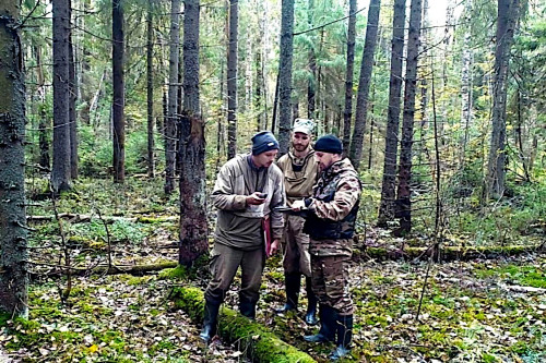 Мониторинг фитосанитарного состояния лесов в регионе проведен на площади более 5 тысяч гектаров