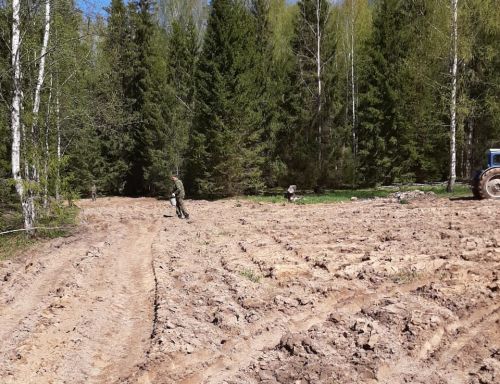 ​55 гектаров кормовых полей засеют в Ярославской области для диких животных