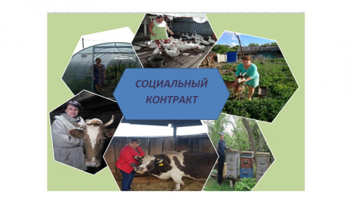 Социальные контракты для жителей села