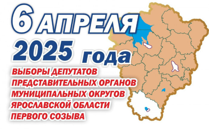 Муниципальные выборы стартовали в Ярославской области