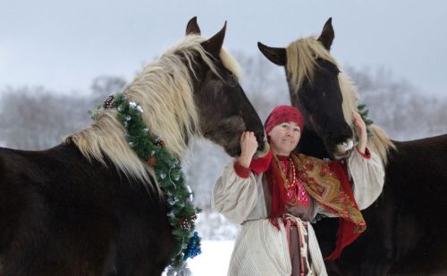 Новую породу лошадей выводят в хозяйстве под Угличем