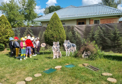 Комплексные проверки перед началом учебного года пройдут в школах, колледжах и детских садах