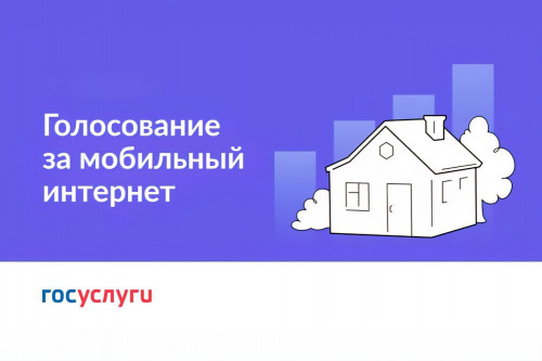 Жители Ярославской области могут проголосовать за обеспечение интернетом деревень и сел