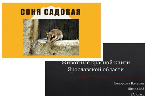 Подведены итоги муниципального конкурса компьютерных презентаций.