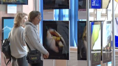 Открылась выставка «Дикий подводный мир»