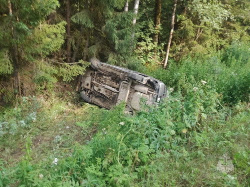 На дороге Ильинское - Заозерье при столкновении с лосем погиб водитель