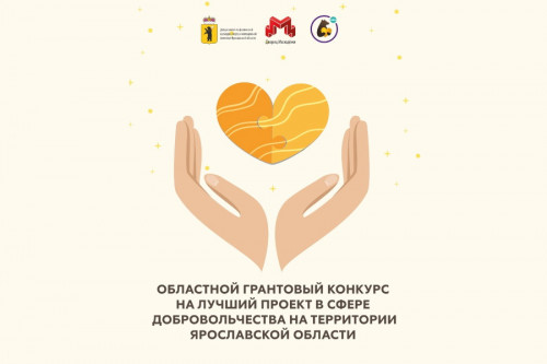 Авторы добровольческих проектов получат областные гранты