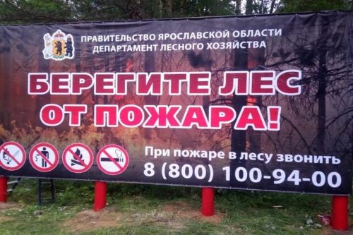Патрулирование во время пожароопасного сезона в лесном фонде региона будет проводиться по 249 маршрутам