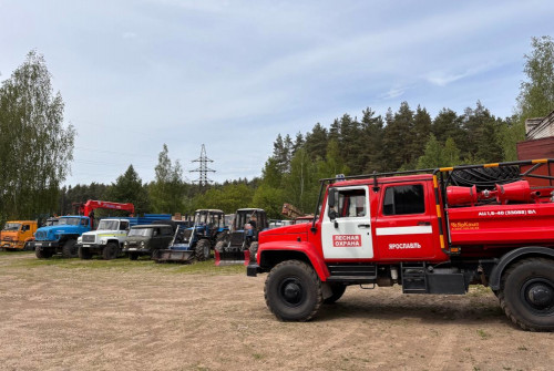 Пожароопасный сезон в Ярославской области прошел без возгораний на территории лесного фонда