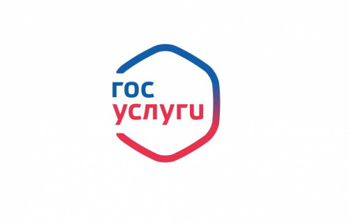 ​Сервисы для комплексного решения вопросов жителей региона теперь доступны на портале госуслуг