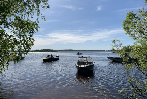 ​Ограничения на вылов рыбы вводятся в Ярославской области в связи с началом нереста