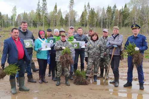 Около 5 тысяч деревьев посадили в рамках акции «Сад памяти» в Угличском районе