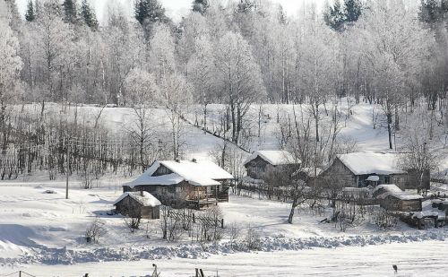 Сельские учреждения культуры и их работники могут получить областные гранты