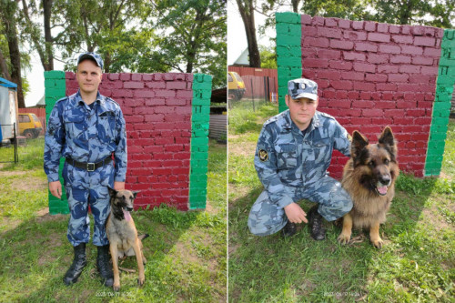 Сегодня свой профессиональный праздник отмечают сотрудники и ветераны кинологической службы УИС