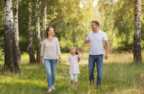 В Ярославской области создают единый «Семейный центр»