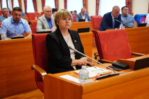 В Думе прошел «Правительственный час» на тему развития транспорта и дорожной отрасли