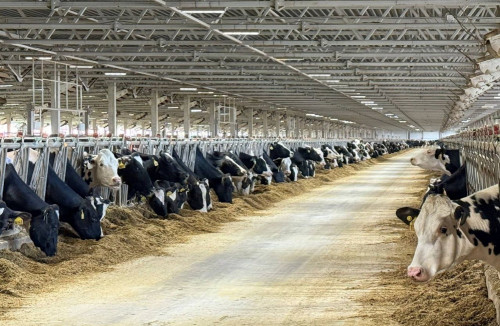 Ярославская область вошла в топ-5 регионов России по приросту индекса производства сельхозпродукции