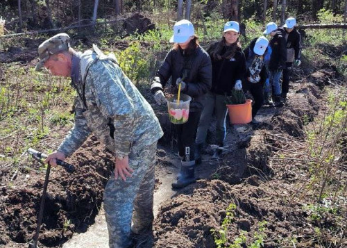 Более 10 тысяч елей посадили участники акции «Сад памяти» в Угличском районе