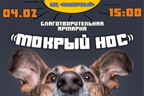 Приглашаем на благотворительную ярмарку для животных «Мокрый нос»