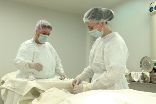 Около 70 молодых врачей, получивших образование по целевым договорам, в этом году трудоустроены в больницы региона