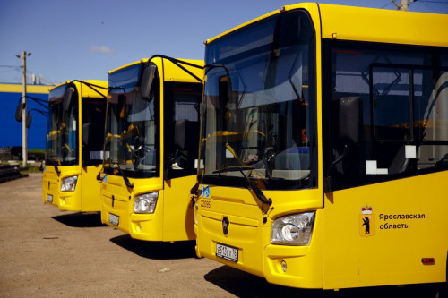 Определен поставщик 202 новых автобусов для Ярославской области