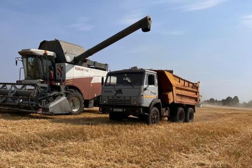 Аграрии региона уже убрали 95,8 тысячи тонн зерна