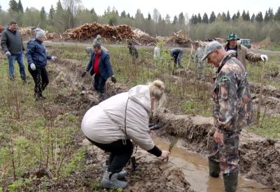 Продолжается акция «Сад Памяти»
