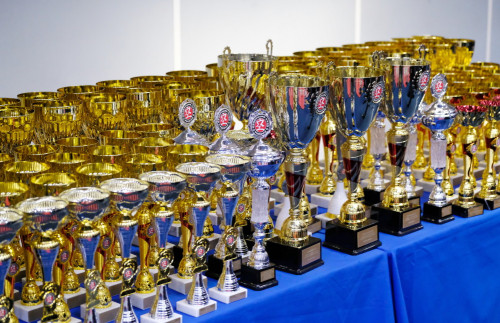 Успешные спортсмены и тренеры в Ярославской области получают денежные выплаты