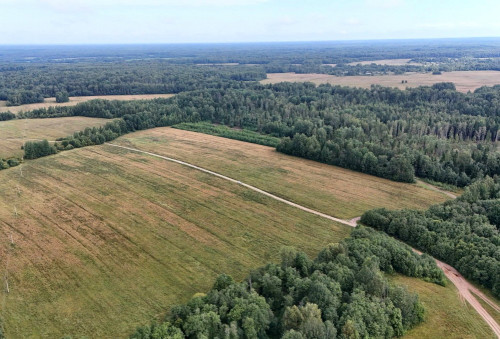 Более 9 тысяч гектаров земель планируется ввести в сельхозоборот в регионе в следующем году