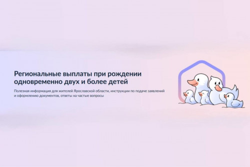 ​Ярославская область – в числе лучших по предоставлению услуг по принципу «Жизненные ситуации»