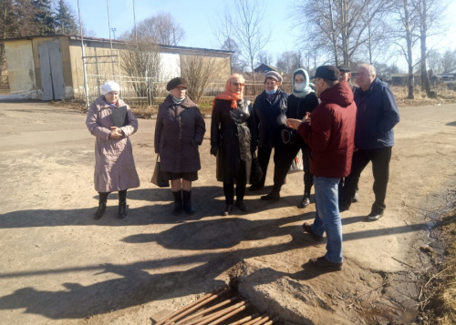 Обсудили, как сохранить деревья