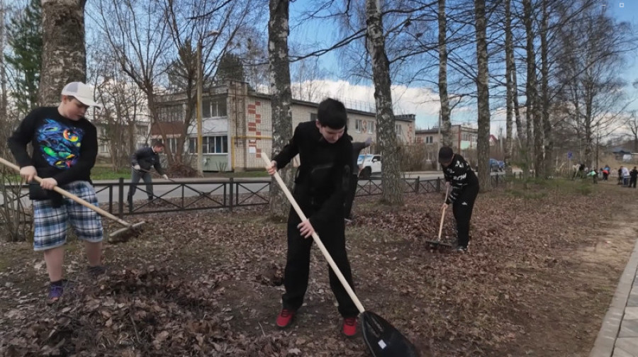 Навели чистоту кудоисты