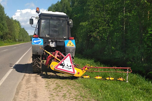 Объемы работ по ликвидации борщевика вдоль областных дорог в этом году увеличат в три раза