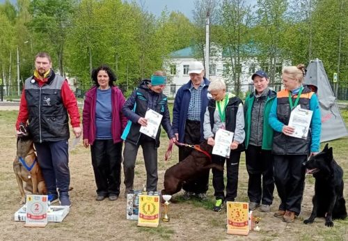 Показали класс по дрессировке собак