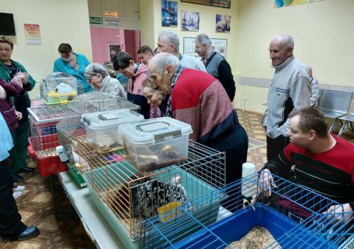 Станция юннатов в гостях в доме-интернате