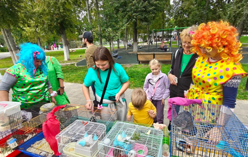 Ребята и зверята