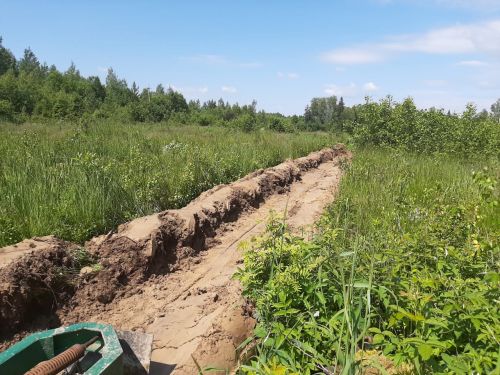 Почву на площади более 2 тысяч гектаров в этом году подготовят для искусственного лесовосстановления