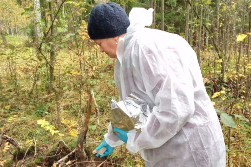Кампания по вакцинации диких животных от бешенства проведена в Ярославской области