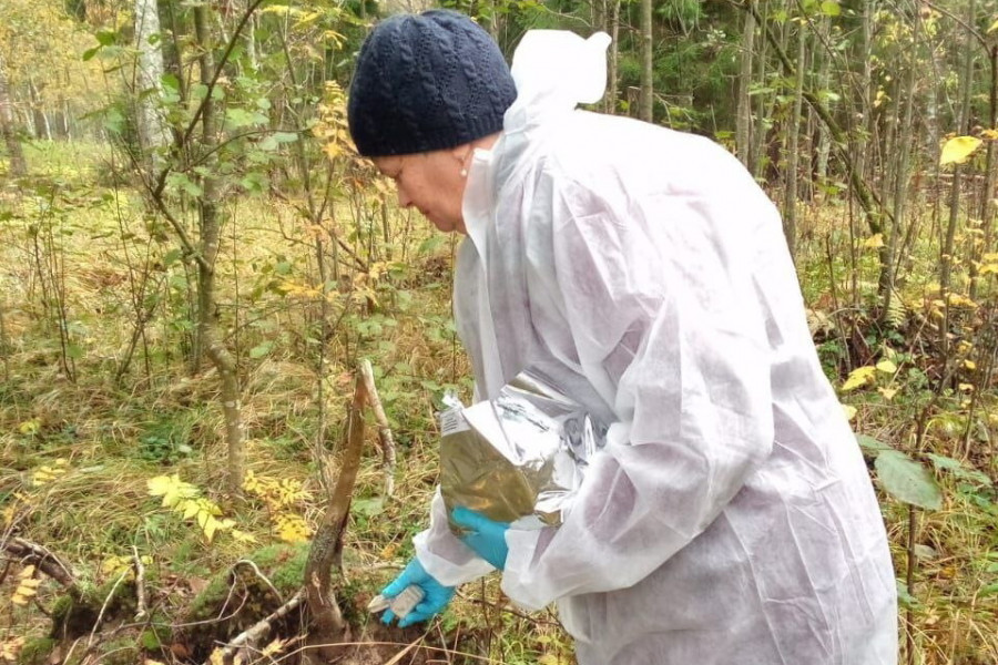 Кампания по вакцинации диких животных от бешенства проведена в Ярославской области