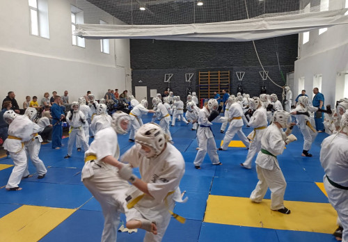 Воспитанники СШ "Витязь" успешно сдали экзамены на старшие ученические пояса