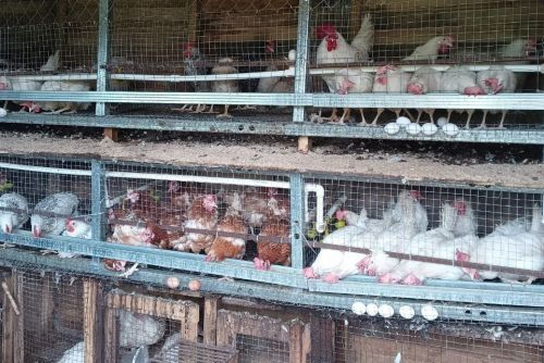 Жители региона могут получить финансовую помощь на открытие собственного дела