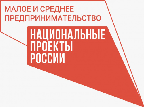 Самозанятые платят налоги с доходов по льготным ставкам и имеют право на господдержку