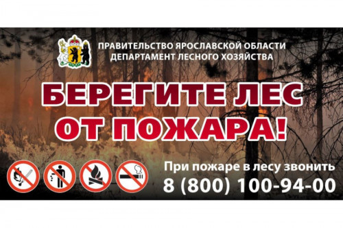 Особый противопожарный режим введен в Ярославской области