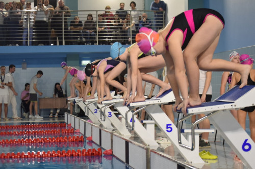 Юные пловцы "Олимпа" покорили "Волжскую волну" в Ярославле!